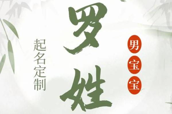 罗姓女宝宝名字精选宝典