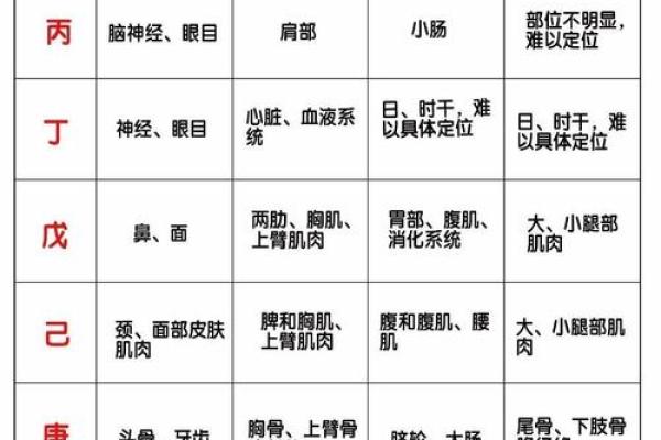 五行相生相克，十天干十二地支全解析