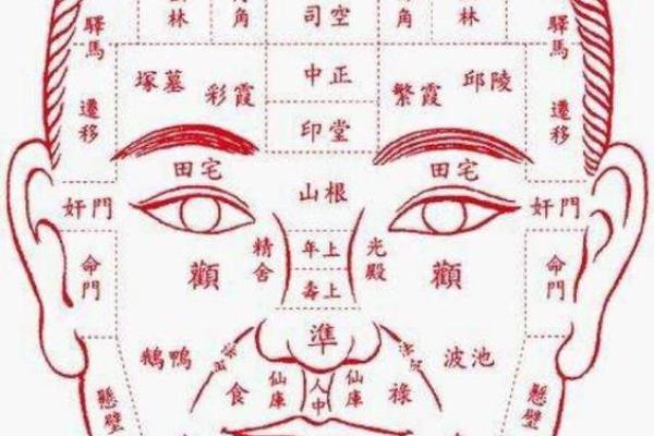 蒜头鼻运势揭秘：揭秘隐藏的富贵命格！
