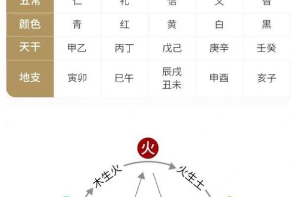 逸五行属相与命理关系