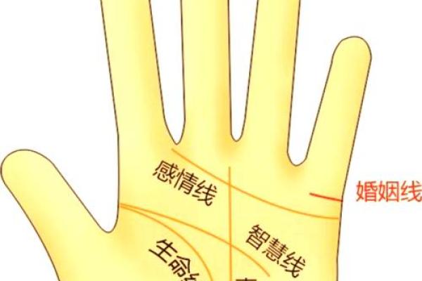 鱼际纹揭秘：手相中的财运密码