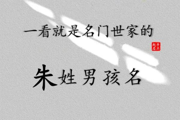 朱宝宝名字创意盘点：独特韵味，彰显个性