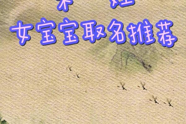 朱宝宝名字创意盘点：独特韵味，彰显个性