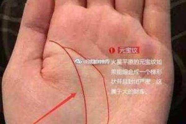 圈出运势，揭秘手相中的财富密码