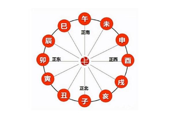地支布局大揭秘：家居风水必备技巧