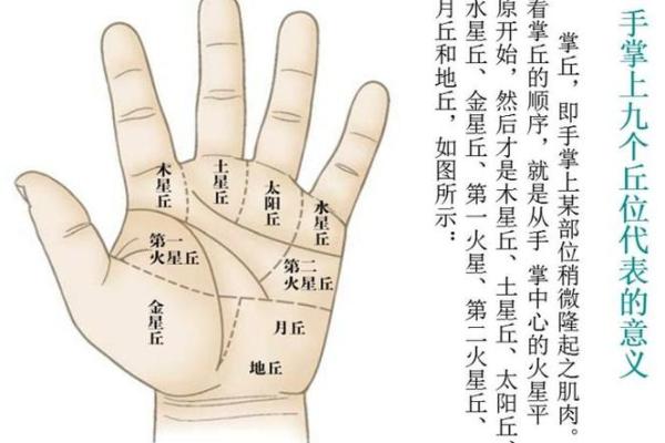 手上月牙多，运势翻倍涨！揭秘月牙手相的秘密