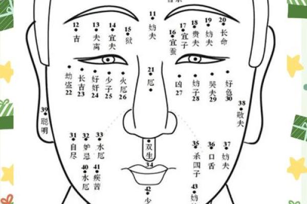 面相解析：眉压面相图揭示命运走向
