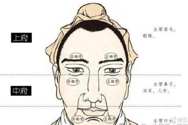 面相解析：眉压面相图揭示命运走向