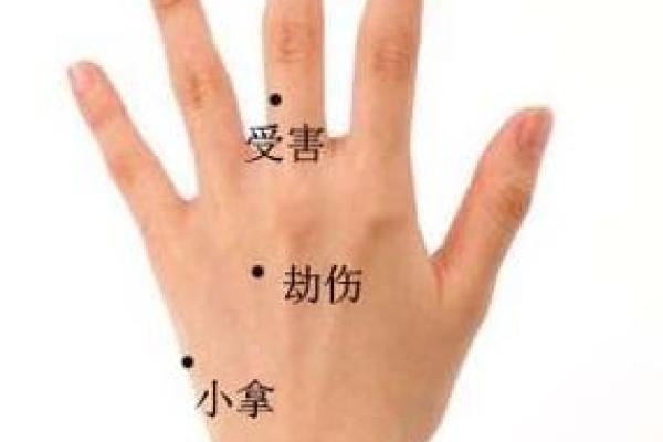 手掌痣相揭秘：命运之痣你了解多少？