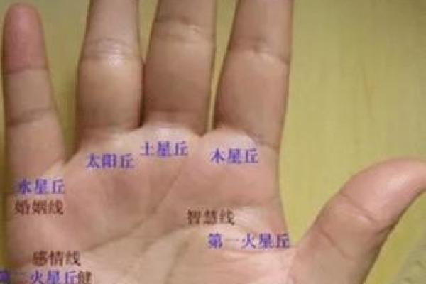 鸡爪纹揭秘：手相中的财运密码