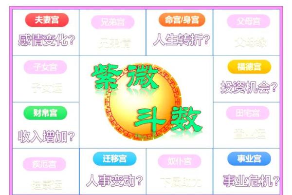 面相奥秘：大头圆脸藏玄机