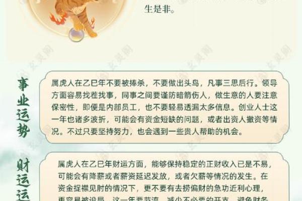 金鼠遇白虎，运势大反转