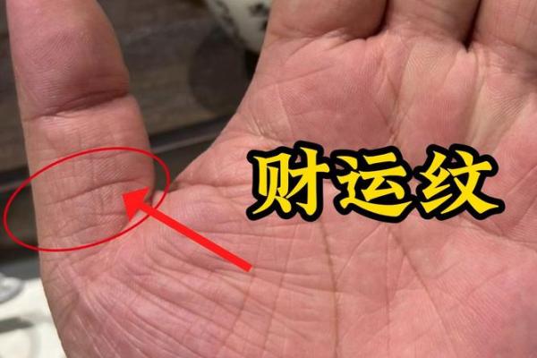 翻云覆雨，手相事业线揭示财富人生