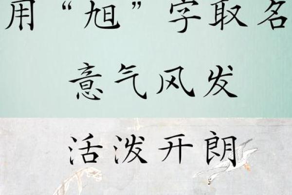 张博旭：博学多才，旭日东升，未来可期之名字运势解析