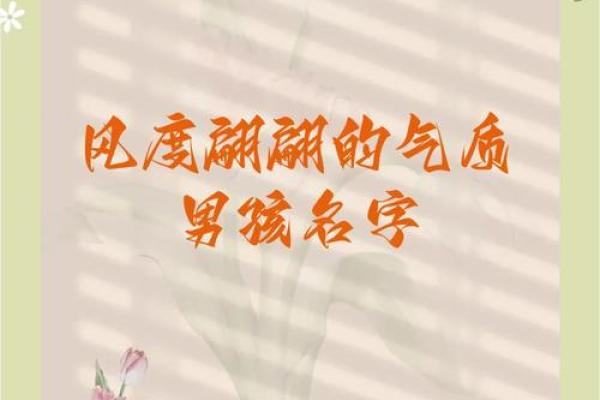 张博旭：博学多才，旭日东升，未来可期之名字运势解析