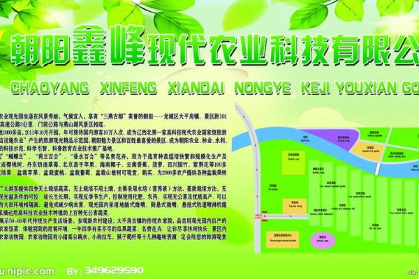 公司农业范围命名策略与创意探索