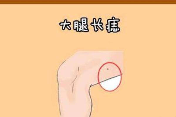 一痣定终身？揭秘腿上痣相，五种运势大揭秘！