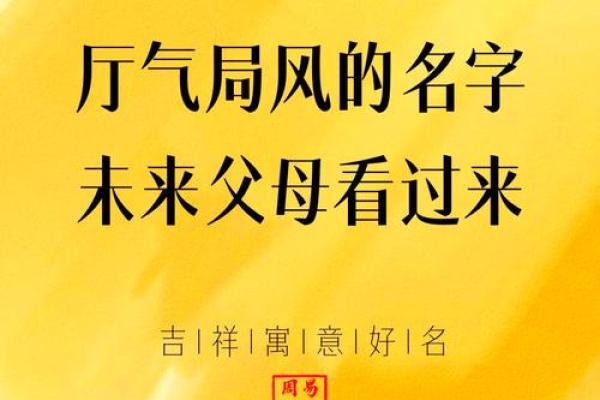 睿柯名字解析：蕴含深远的意义与未来潜力