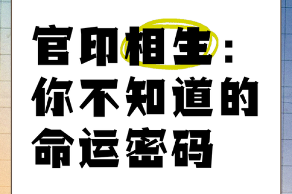 真相大白：揭秘你的命运密码