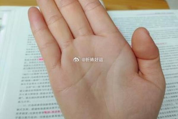 左手神秘线，命运密码大揭秘！