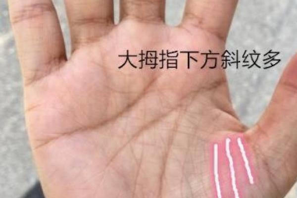 桃花手相揭秘：你的感情运势如何？