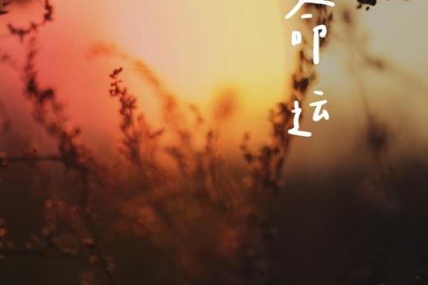 解锁命运密码，开启幸福人生