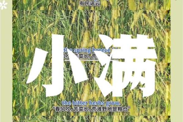 小满节气的意义与传统文化的深远影响