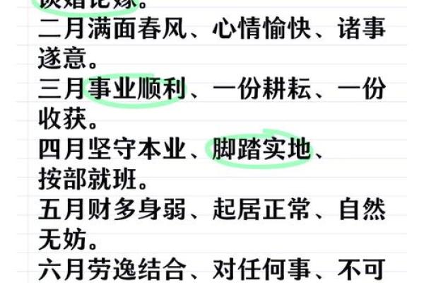 未羊地支运势，揭秘如何抓住时机