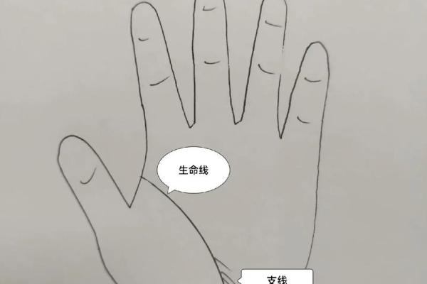 大学生命线：揭秘考大学必备的掌中奥秘