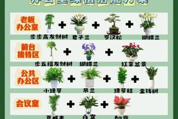 绿意盎然风水宝地，办公室植物摆放指南