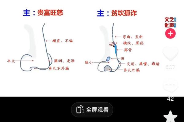 鼻面相中透露的神秘魅力