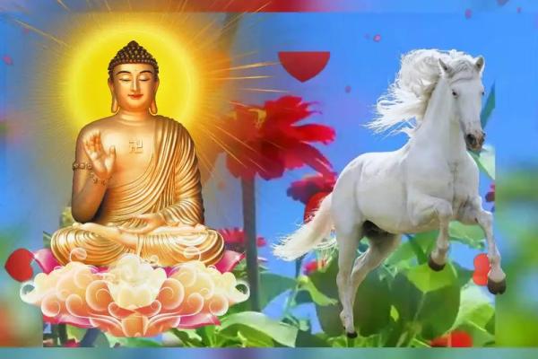 马与传统文化：探寻千年象征的深远意义