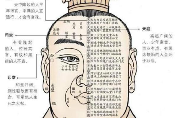 面相解析：脸肥大面相的运势与性格揭秘