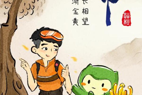 10月29日：重阳佳节，登高赏菊的传统习俗