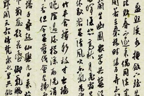 程盈：盈满则亏，智慧如盈，人生运势大揭秘