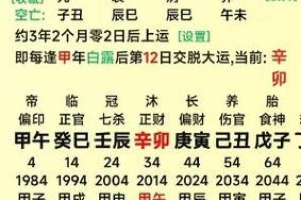 地支正印大揭秘：你的生肖运势解析指南