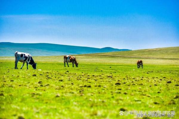 传统文化视角下的草原文化与民族精神