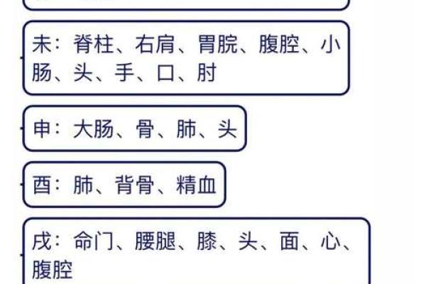 地支墓穴揭秘：一窥地支相生之谜