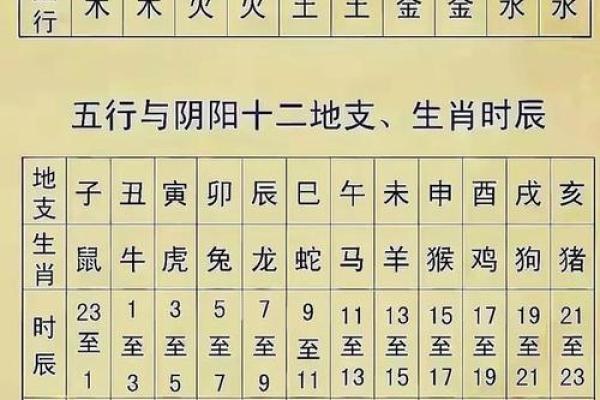 神秘地支揭秘：探寻古老智慧中的五行奥秘