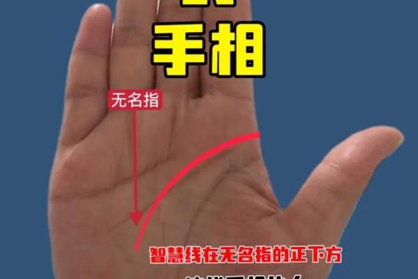 解锁命运密码：易经算卦手相秘术大公开