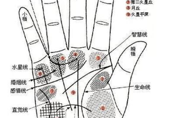 手相断掌大揭秘：男性运势吉凶一览无遗