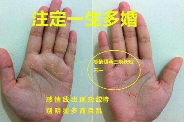 手相断掌大揭秘：男性运势吉凶一览无遗