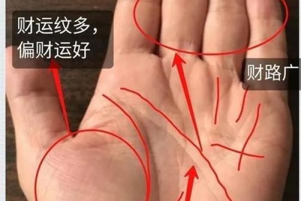 手中乾坤：阳春手相秘籍，助你洞悉人生运势