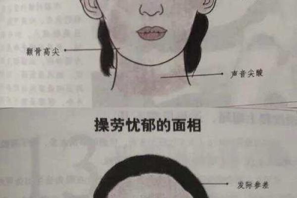 面相图解大全：揭秘女性面相的奥秘与智慧