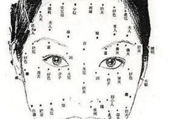 面相图解大全：揭秘女性面相的奥秘与智慧