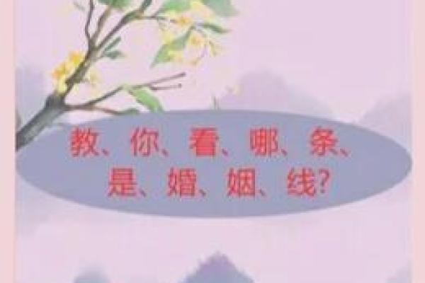 解码婚姻线：揭秘你的爱情命运