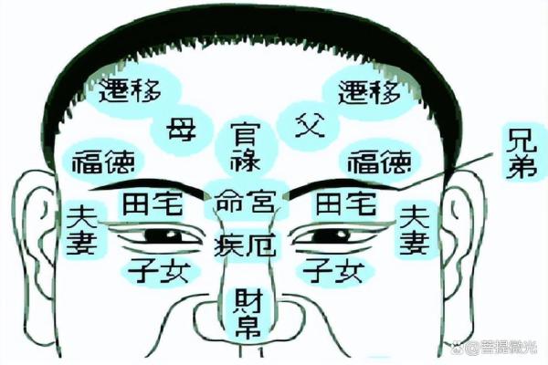 面相解析：财运亨通，事业发达的神秘征兆