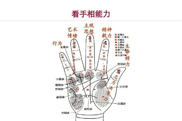 看手相解人生：闭合手相的惊人预兆