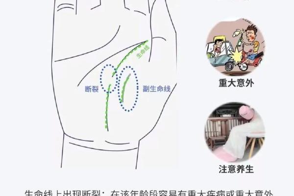 手相图解宝典：轻松学会看手相，掌握人生运势！