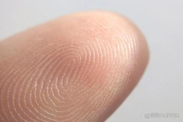 手指缝隙中的秘密：揭秘命运密码